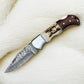 Handmade Damascus Folding Knife | Stag Horn & Rosewood