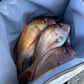 27QT Insulated Fish Cooler Bag, Flat Bottom