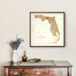 Vintage Map of Florida 1876