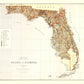 Vintage Map of Florida 1876