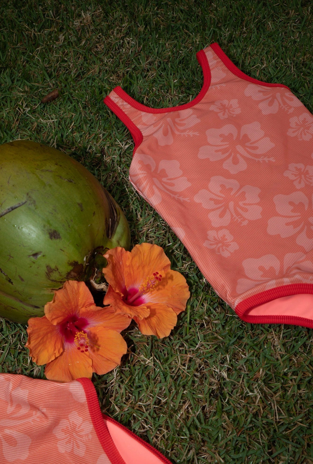 Lainsnow X The Last Mango: Mini Charleston One Piece- hibis-kiss