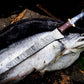 Handmade Damascus Fillet Knife 13” – Buffalo Horn, Rosewood & Brass Handle with Leather Sheath