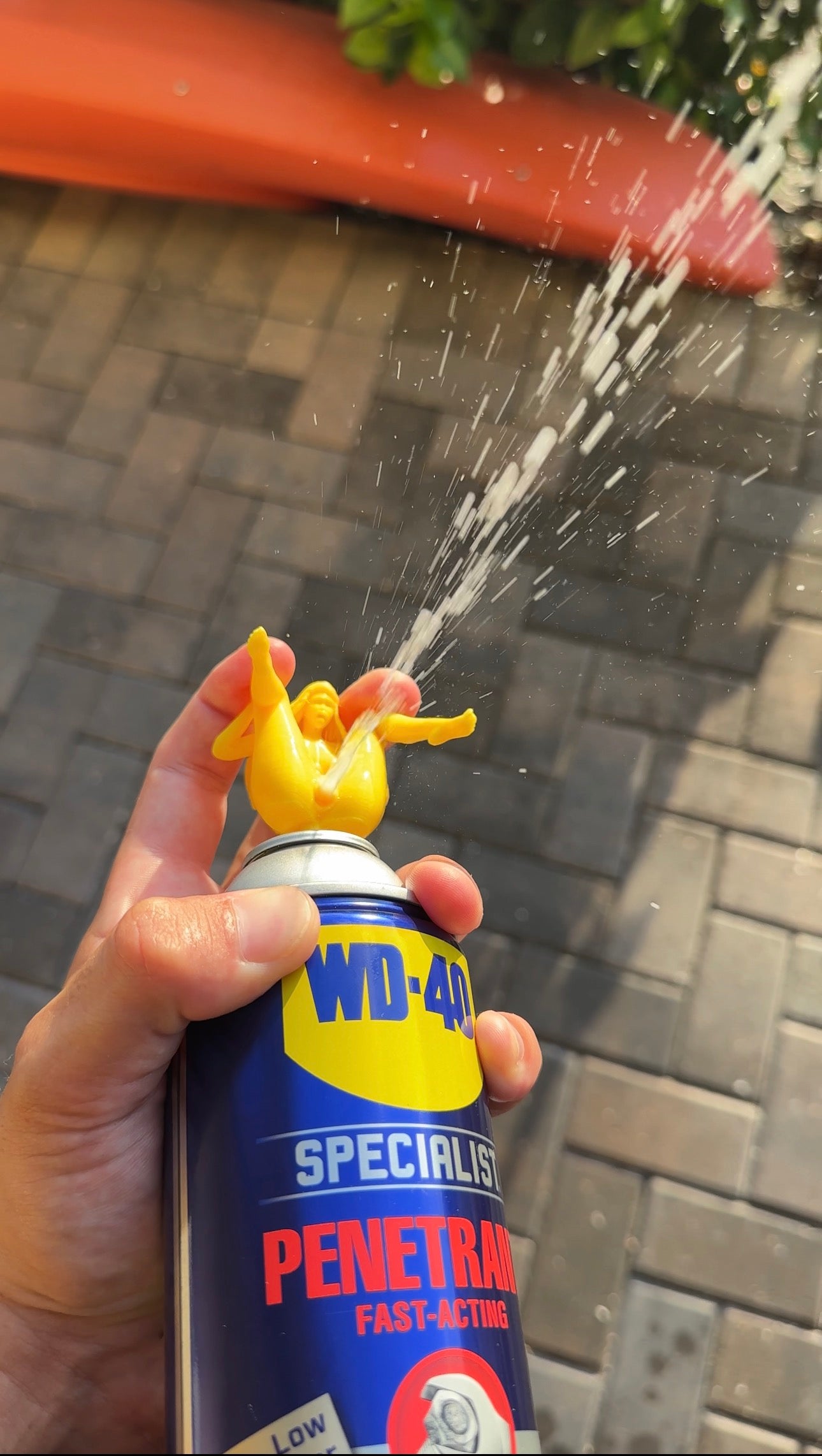 Naughty Top Spray Top
