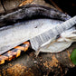 Custom Handmade Damascus Steel Fillet Knife for Sale | 13" Length