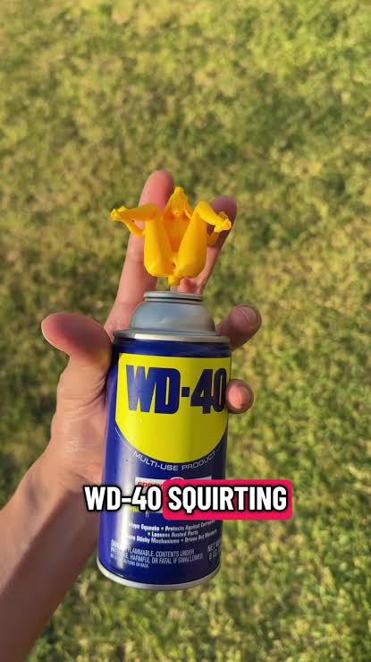 She’s a Squirter (Fits WD-40 & Standard Cans)