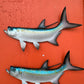 Tarpon Fish Magnet