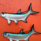 Tarpon Fish Magnet