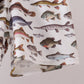 Fish Embroidered Shorts Set