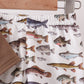 Fish Embroidered Shorts Set