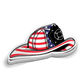 Red White Blue Helmet Sticker