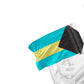 Bahamas 12"x18" Forever Wave Flag