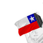 Chile 12"x18" Forever Wave Flag