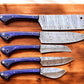 Handmade Damascus Kitchen Knives Set with Exotic Wood Handles