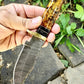 Handmade Damascus Hunting Knife with Epoxy Resin Handle