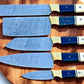 Premium Handmade Damascus Kitchen Knives Set – Resin & Bone