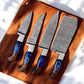 Handmade Damascus Kitchen Knives Set with Leather Roll